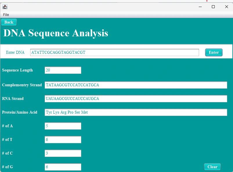 DNA RNA Processing