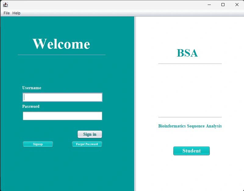 BSA Tool Interface